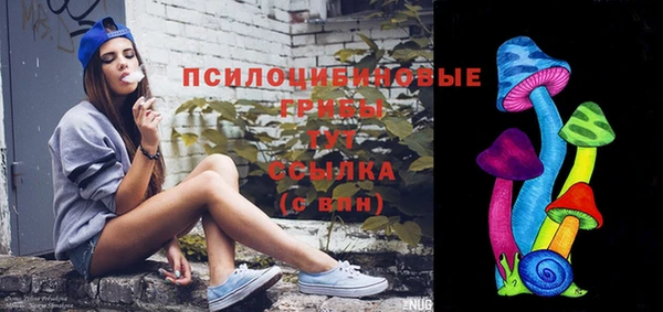 эйфоретик Бронницы