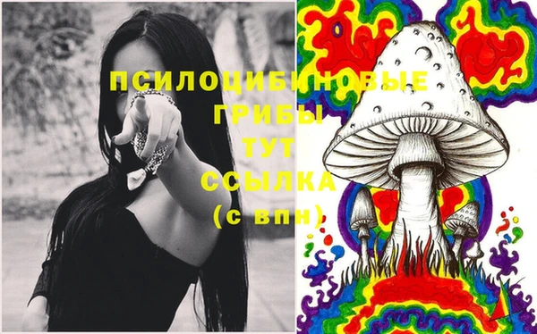 эйфоретик Бронницы